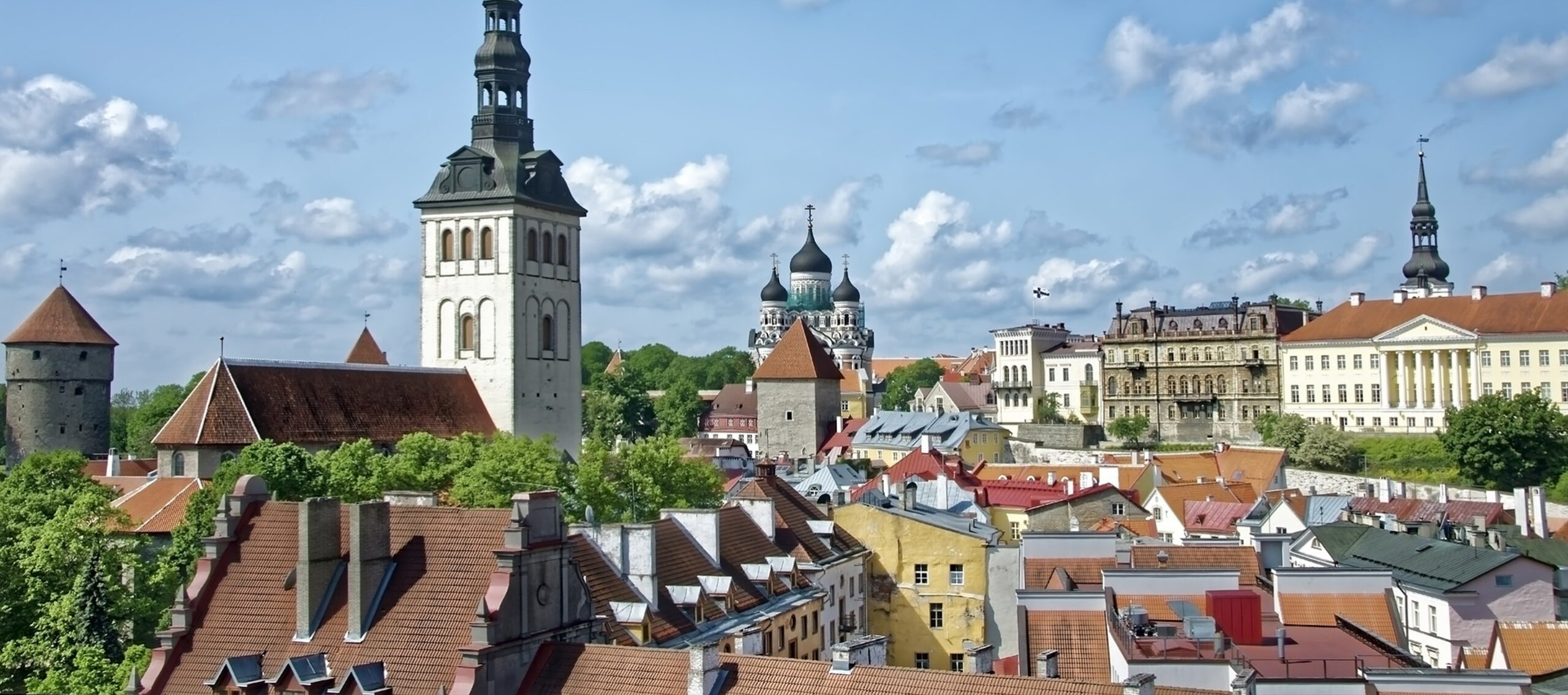 Business Trip Report /<br>海外よりゲストを招き交流会開催<br> (エストニア)
